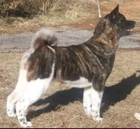 processed/ca3f019f-b605-4713-ae5d-39660d25b7c6/facility/6495bf3d-fd60-42a6-8ad7-9762f084a570