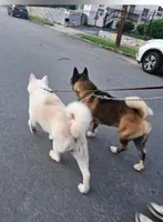 processed/ca3f019f-b605-4713-ae5d-39660d25b7c6/facility/6fb39e7e-e68e-4296-ad87-a4ebbc8090e0