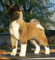 processed/ca3f019f-b605-4713-ae5d-39660d25b7c6/facility/916e84ae-068d-402a-988c-b994145e9fd5