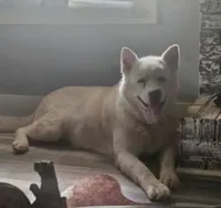 processed/ca3f019f-b605-4713-ae5d-39660d25b7c6/facility/e0515cde-db0a-4ab8-a25d-6e9adea309d6