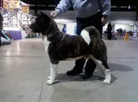 processed/ca3f019f-b605-4713-ae5d-39660d25b7c6/facility/eced72cd-bc16-4519-9d51-3a71a6777321