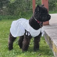 processed/ca465728-b8a6-436c-b970-08da03d35356/facility/42882ff6-716b-40f3-ab51-2bb510cb047b