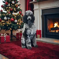 processed/ca465728-b8a6-436c-b970-08da03d35356/facility/535791f9-33f5-460d-8966-cc24affc1c85