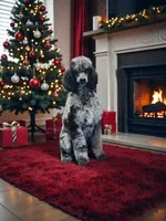 processed/ca465728-b8a6-436c-b970-08da03d35356/facility/535791f9-33f5-460d-8966-cc24affc1c85