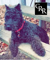 processed/ca465728-b8a6-436c-b970-08da03d35356/facility/b135ba2b-77fb-4ddc-a7b5-4c3a6c7a69be