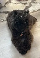 processed/ca465728-b8a6-436c-b970-08da03d35356/facility/ee521360-8714-40d1-a292-5bdfb95780ef