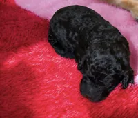 processed/ca465728-b8a6-436c-b970-08da03d35356/listing/088454d5-3141-4285-996f-dfea03c85331/83ecea4c-0b8c-4d07-b736-c2e4741d4f6e