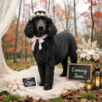 processed/ca465728-b8a6-436c-b970-08da03d35356/listing/64b788a7-ca9e-445c-bf80-5165acb9f339/79261685-b3ea-44c9-87bd-e44d5ad22de5