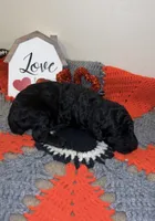 processed/ca465728-b8a6-436c-b970-08da03d35356/listing/64b788a7-ca9e-445c-bf80-5165acb9f339/7d094ea1-e47e-4871-8f5f-6c506ced1f27