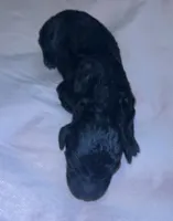 processed/ca465728-b8a6-436c-b970-08da03d35356/listing/64b788a7-ca9e-445c-bf80-5165acb9f339/b86a287c-0e56-41bc-a2af-08044b43ea59