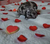 processed/ca465728-b8a6-436c-b970-08da03d35356/listing/6bc8fcf9-8322-45ad-b96f-d9918494ab35/3efb23d8-5495-443c-902b-ae58540dcd9a