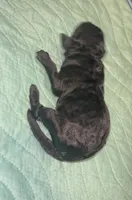 processed/ca465728-b8a6-436c-b970-08da03d35356/listing/a422a823-8eb3-480e-ab7c-b5502b8ff167/8d98441c-994d-4dbc-b229-cf22b2d5f388