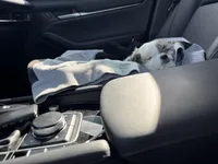 Blossom , a female Maltipoo for sale in San Diego, CA – Photo 2 of 6