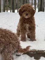 processed/ca55db0c-3d3f-41b3-a6a6-d18767c9fedd/listing/029097ff-3903-4d52-8c6d-9ce72b69cff7/b83603f1-fb11-4ae8-8e32-77c38a6393c5