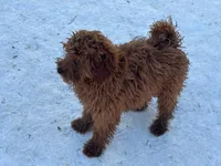 processed/ca55db0c-3d3f-41b3-a6a6-d18767c9fedd/listing/28d09770-4638-44fd-a8f2-b4a5071ad8fe/38f10b45-10b1-4da2-9835-9f3592fca3aa