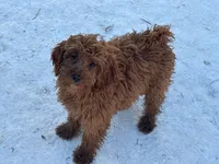 processed/ca55db0c-3d3f-41b3-a6a6-d18767c9fedd/listing/28d09770-4638-44fd-a8f2-b4a5071ad8fe/7450f5fa-468a-460d-80f9-ebe3900161b7