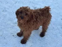 processed/ca55db0c-3d3f-41b3-a6a6-d18767c9fedd/listing/28d09770-4638-44fd-a8f2-b4a5071ad8fe/a1dba018-76e4-472b-80a8-b1a39cbd028a