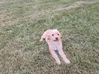 processed/ca55db0c-3d3f-41b3-a6a6-d18767c9fedd/listing/3626a779-5b2e-4435-8428-8251d5343bee/b52de010-38ac-4f69-b9a2-76162065f386