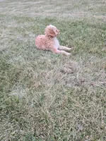 processed/ca55db0c-3d3f-41b3-a6a6-d18767c9fedd/listing/3626a779-5b2e-4435-8428-8251d5343bee/d32151b2-e8ad-46bd-be28-c38dbeca7328