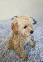 processed/ca55db0c-3d3f-41b3-a6a6-d18767c9fedd/listing/3cd58d73-bf08-4cb6-9d75-bc91c8d5a8a0/ae1d241d-b0d8-431b-889e-cf012ea04c4f