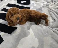 processed/ca55db0c-3d3f-41b3-a6a6-d18767c9fedd/listing/967c140d-b37d-4709-90ba-fcee4a222350/659a3cdd-f27e-4b8f-a437-7ea928efc54d