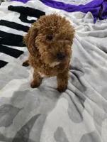 processed/ca55db0c-3d3f-41b3-a6a6-d18767c9fedd/listing/967c140d-b37d-4709-90ba-fcee4a222350/c6e318f9-4dc0-479b-b752-b7712763f004