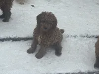 processed/ca55db0c-3d3f-41b3-a6a6-d18767c9fedd/listing/ba51c87f-bf42-4a85-95e2-d9f36d6dd966/279593cd-7918-4c9f-a37d-659e7152993b