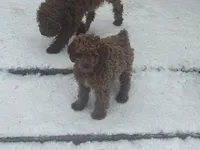 processed/ca55db0c-3d3f-41b3-a6a6-d18767c9fedd/listing/ba51c87f-bf42-4a85-95e2-d9f36d6dd966/92456730-07f8-4db3-b819-6572ff8ef80e