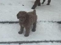 processed/ca55db0c-3d3f-41b3-a6a6-d18767c9fedd/listing/ba51c87f-bf42-4a85-95e2-d9f36d6dd966/dca61790-1872-453e-b5af-9d0912ad1333