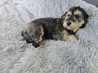 processed/ca55db0c-3d3f-41b3-a6a6-d18767c9fedd/listing/f9a50724-371e-4fcb-a73e-812195cb67e3/24929992-ee4b-4b75-ae70-65677ff18c81