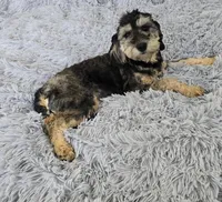 processed/ca55db0c-3d3f-41b3-a6a6-d18767c9fedd/listing/f9a50724-371e-4fcb-a73e-812195cb67e3/6425b1db-13b9-46f0-8c0e-ea03acfacf7d