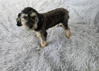 processed/ca55db0c-3d3f-41b3-a6a6-d18767c9fedd/listing/f9a50724-371e-4fcb-a73e-812195cb67e3/fa0b3077-ec1a-4aeb-8411-f4f125f3a105