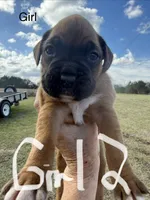 processed/ca5a07c2-26ec-492b-9430-602c97d9ef76/listing/1bfdc40d-0d20-4e10-a020-efd39f1bdfc3/96d45c1b-b25c-4d4d-99ca-a047e02c5941