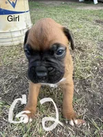 processed/ca5a07c2-26ec-492b-9430-602c97d9ef76/listing/1bfdc40d-0d20-4e10-a020-efd39f1bdfc3/eb29b04c-b312-4999-ae1c-eca6a9aed60c