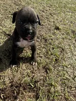 processed/ca5a07c2-26ec-492b-9430-602c97d9ef76/listing/97125e97-3405-4a5e-9914-c846e567d34c/36747517-926e-460c-86a5-ffc2c30183c4