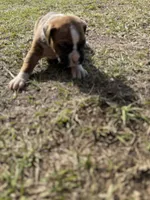 processed/ca5a07c2-26ec-492b-9430-602c97d9ef76/listing/ba9aa7b3-c9ce-49c8-897f-51c43f662461/48b50810-1cc1-46d0-94a4-96b1dd680b16