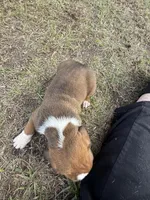 processed/ca5a07c2-26ec-492b-9430-602c97d9ef76/listing/ba9aa7b3-c9ce-49c8-897f-51c43f662461/5972b5c9-f943-443a-91fd-a1b3f8688702