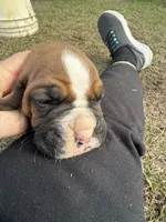 processed/ca5a07c2-26ec-492b-9430-602c97d9ef76/listing/ba9aa7b3-c9ce-49c8-897f-51c43f662461/af99dbc4-ad38-41cf-b817-86efd73d364b