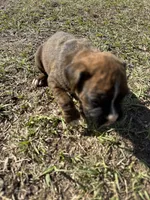 processed/ca5a07c2-26ec-492b-9430-602c97d9ef76/listing/d26437da-22f0-4ed4-9afc-03c99cc57dd1/e27a4125-9119-425c-8fc5-3ad455c3f5a0