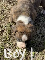 processed/ca5a07c2-26ec-492b-9430-602c97d9ef76/listing/e4d8c648-fad4-4952-b816-185fc4084d7a/c9e46d60-cf7b-4f7d-91a2-2b8abcec4610