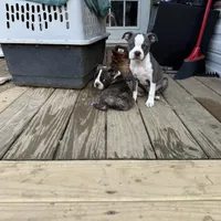 processed/ca5b0352-2798-46f8-96df-d7cffa28f488/facility/13a27f8f-b17c-4a32-9bf4-cbe90a298f5b