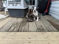 processed/ca5b0352-2798-46f8-96df-d7cffa28f488/facility/13a27f8f-b17c-4a32-9bf4-cbe90a298f5b