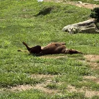 processed/ca5b0352-2798-46f8-96df-d7cffa28f488/facility/21964fbd-7c86-4705-99ff-bd0afcdbdc1c