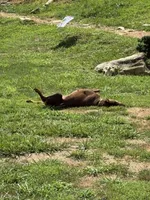 processed/ca5b0352-2798-46f8-96df-d7cffa28f488/facility/21964fbd-7c86-4705-99ff-bd0afcdbdc1c