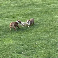 processed/ca5b0352-2798-46f8-96df-d7cffa28f488/facility/53168c5d-a09e-454e-a32e-4d6b1f3bfdf8