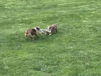 processed/ca5b0352-2798-46f8-96df-d7cffa28f488/facility/53168c5d-a09e-454e-a32e-4d6b1f3bfdf8