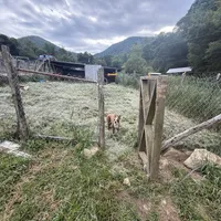 processed/ca5b0352-2798-46f8-96df-d7cffa28f488/facility/6b569206-8e8d-4a65-9ee5-f8c4324e2faa