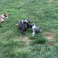 processed/ca5b0352-2798-46f8-96df-d7cffa28f488/facility/ba6ae3be-395a-41fe-a1b9-a93006290f10