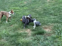 processed/ca5b0352-2798-46f8-96df-d7cffa28f488/facility/ba6ae3be-395a-41fe-a1b9-a93006290f10