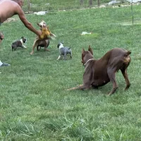 processed/ca5b0352-2798-46f8-96df-d7cffa28f488/facility/e885f745-0a0d-4752-a465-b60cce096314